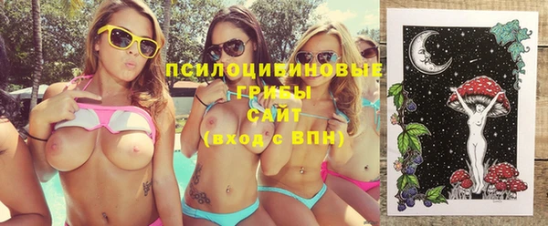 а пвп мука Абаза