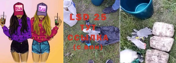 индика Абинск