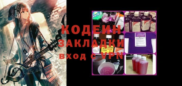 индика Абинск