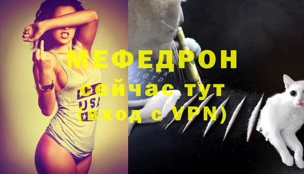 индика Абинск