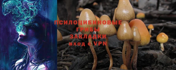 а пвп мука Абаза